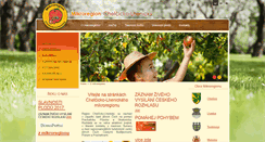 Desktop Screenshot of chelcicko-lhenicko.cz